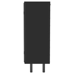 Dalia 2-door Accent Storage Cabinet with Shelving Black