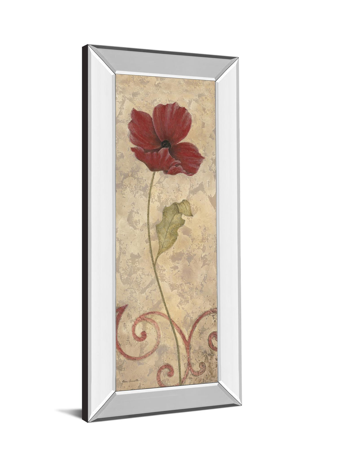 Mirrored Frame Promotional Line 18X42 18X42 Mirror Frame Print