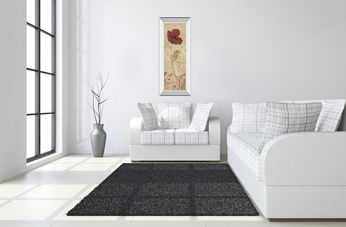 Mirrored Frame Promotional Line 18X42 18X42 Mirror Frame Print
