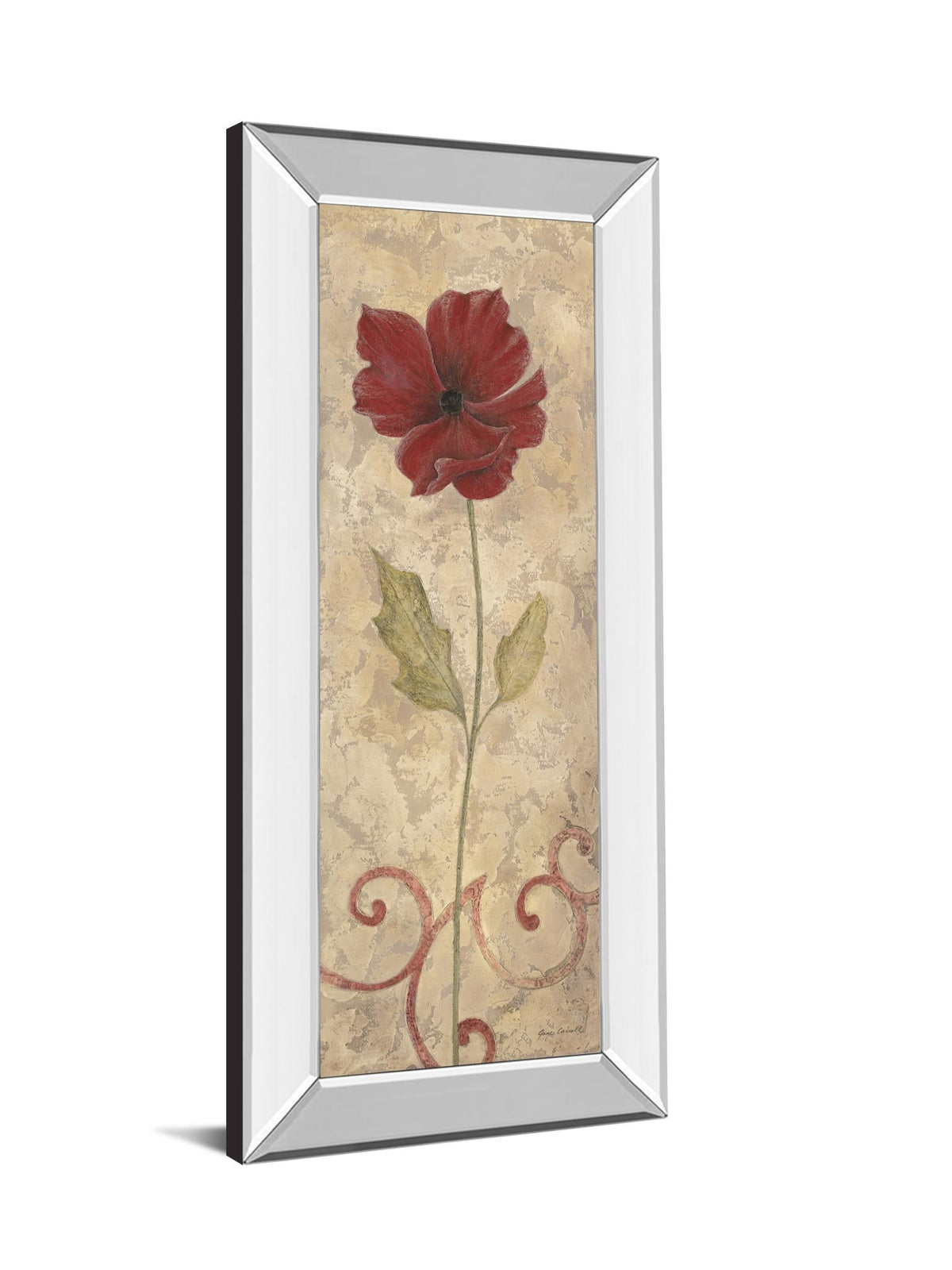 Mirrored Frame Promotional Line 18X42 18X42 Mirror Frame Print