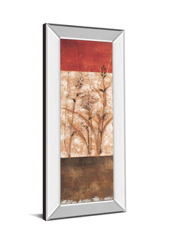 Mirrored Frame Fresco Ii By Loretta Linza 18X42 Mirror Frame Print