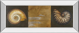 Mirrored Frame Seashells I By Patricia Pinto 18X42 Mirror Frame Print