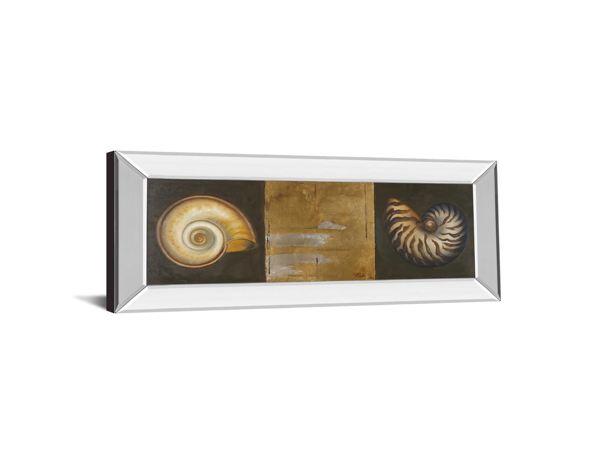 Mirrored Frame Seashells I By Patricia Pinto 18X42 Mirror Frame Print