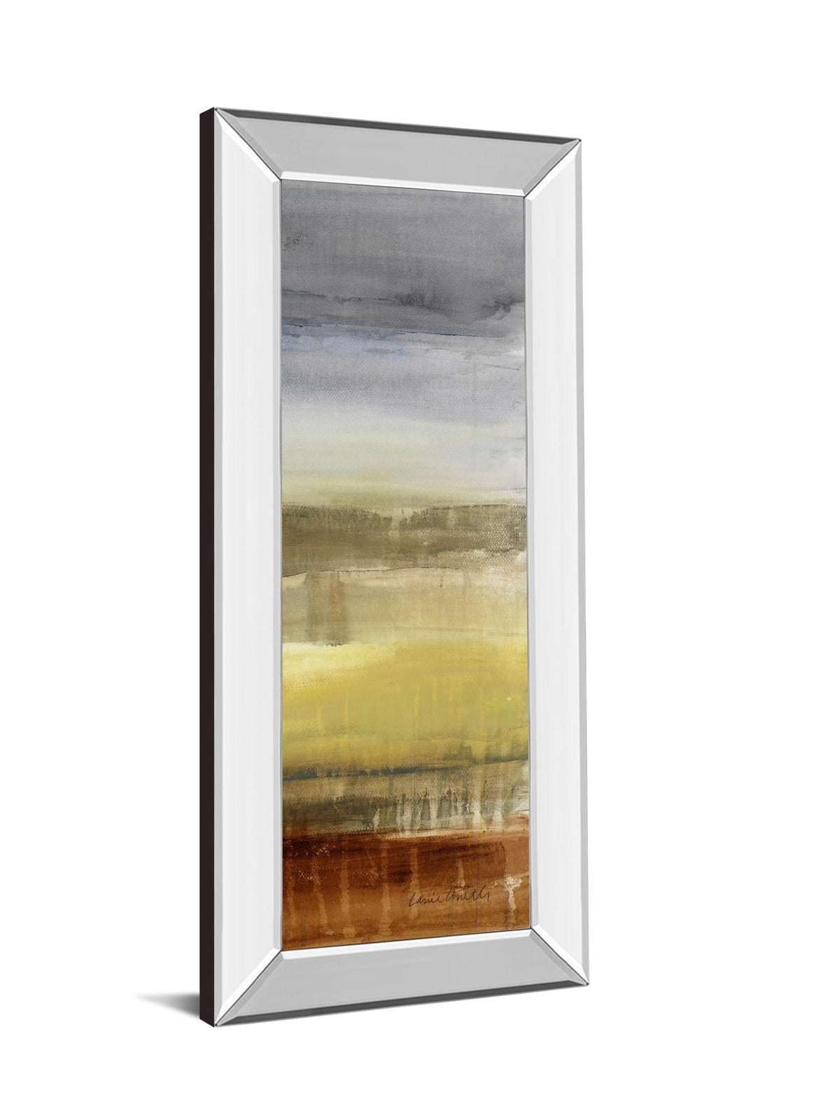 Mirrored Frame Summer Rain I By Lanie Loreth 18X42 Mirror Frame Print