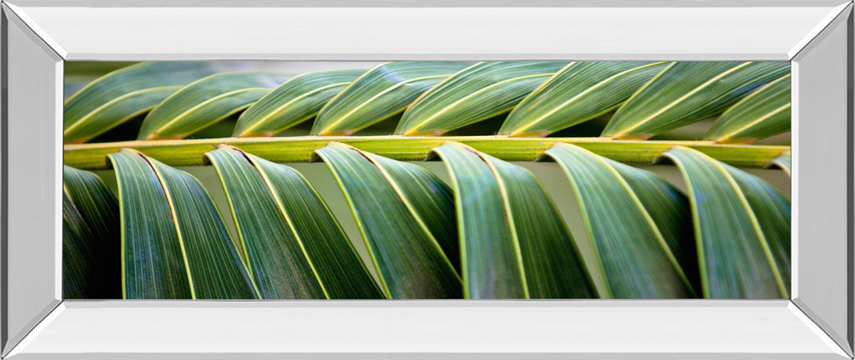 Mirrored Frame Palma I By Susan Bryant 18X42 Mirror Frame Print
