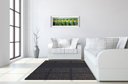 Mirrored Frame Palma I By Susan Bryant 18X42 Mirror Frame Print