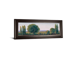 Panoramic Treeline I By Tim Otoole 18X42 Framed Print