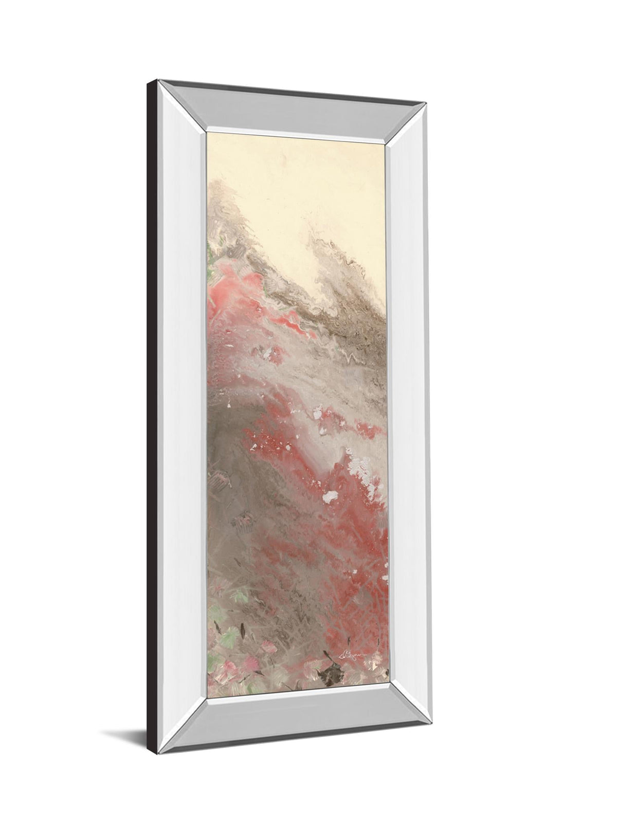 Mirrored Frame Sang Froid I By Dlynn Roll 18X42 Mirror Frame Print