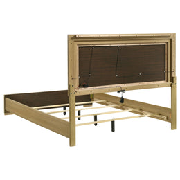 Hyland  Panel Bed LED Headboard Natural