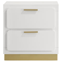 Caraway 2-drawer Nightstand Black