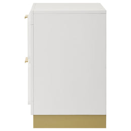 Caraway 2-drawer Nightstand Black