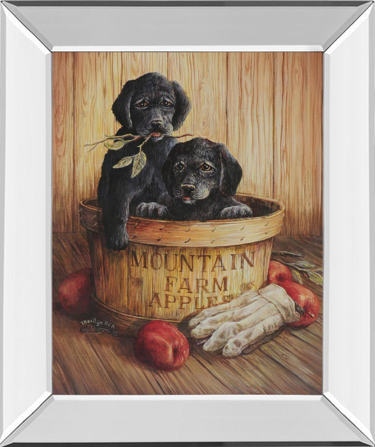 Mirrored Frame Promotional Line 22X26 22X26 Mirror Frame Print