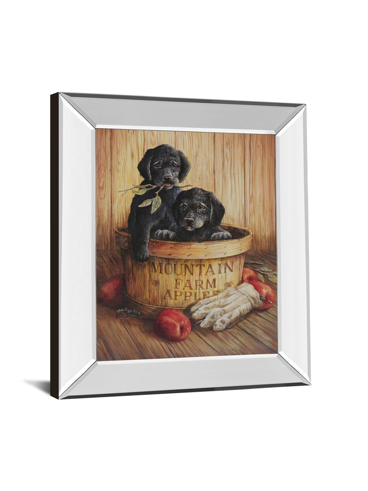 Mirrored Frame Promotional Line 22X26 22X26 Mirror Frame Print