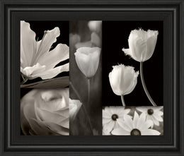 Summer Garden Ii By Dennis Frates 22X26 Framed Print
