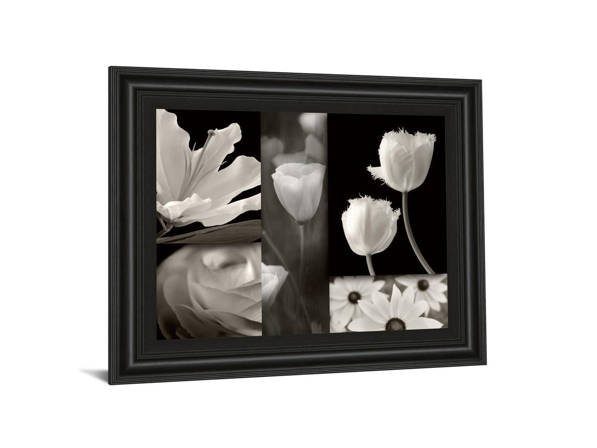 Summer Garden Ii By Dennis Frates 22X26 Framed Print