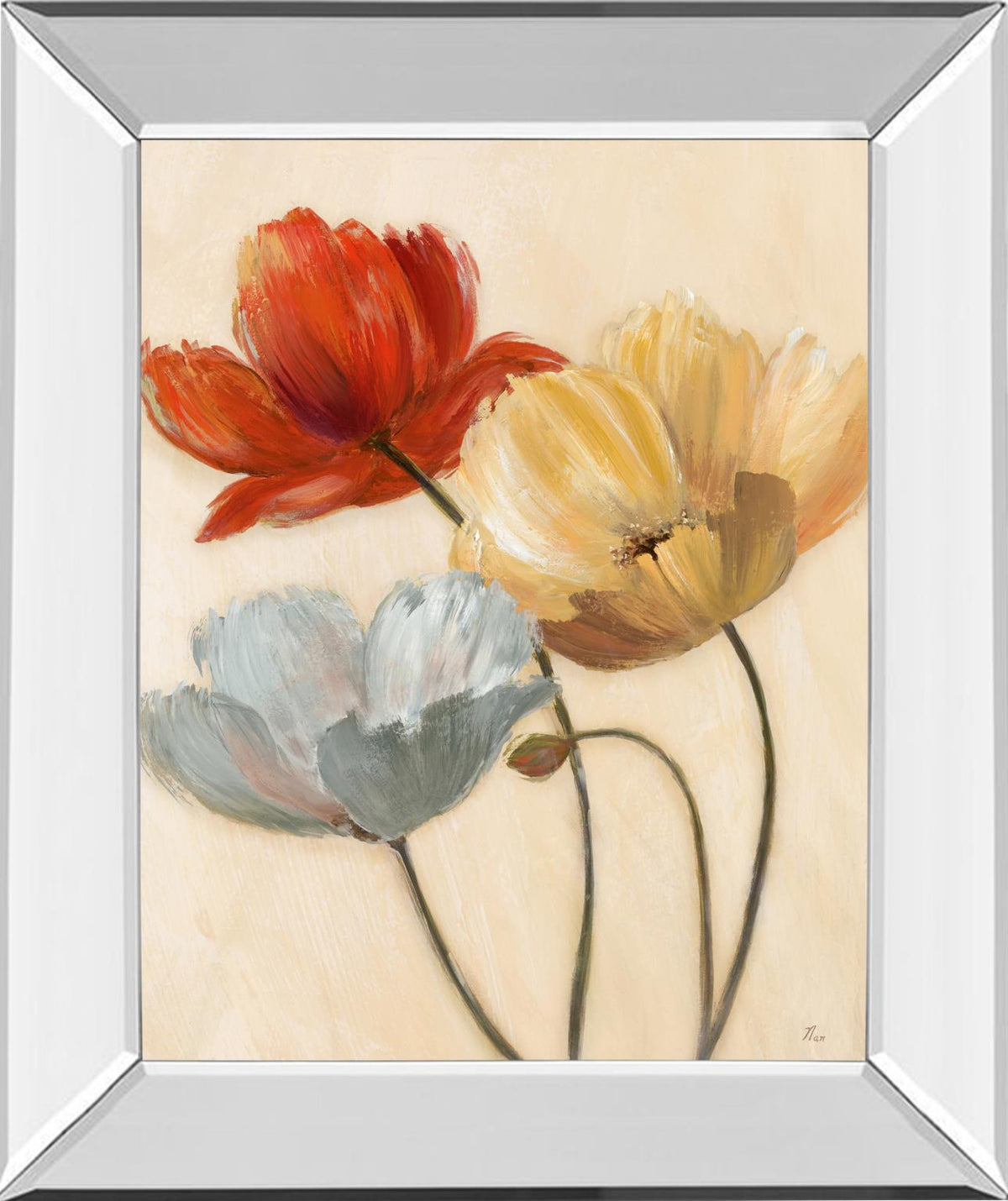 Mirrored Frame Poppy Palette Ii By Nan 22X26 Mirror Frame Print