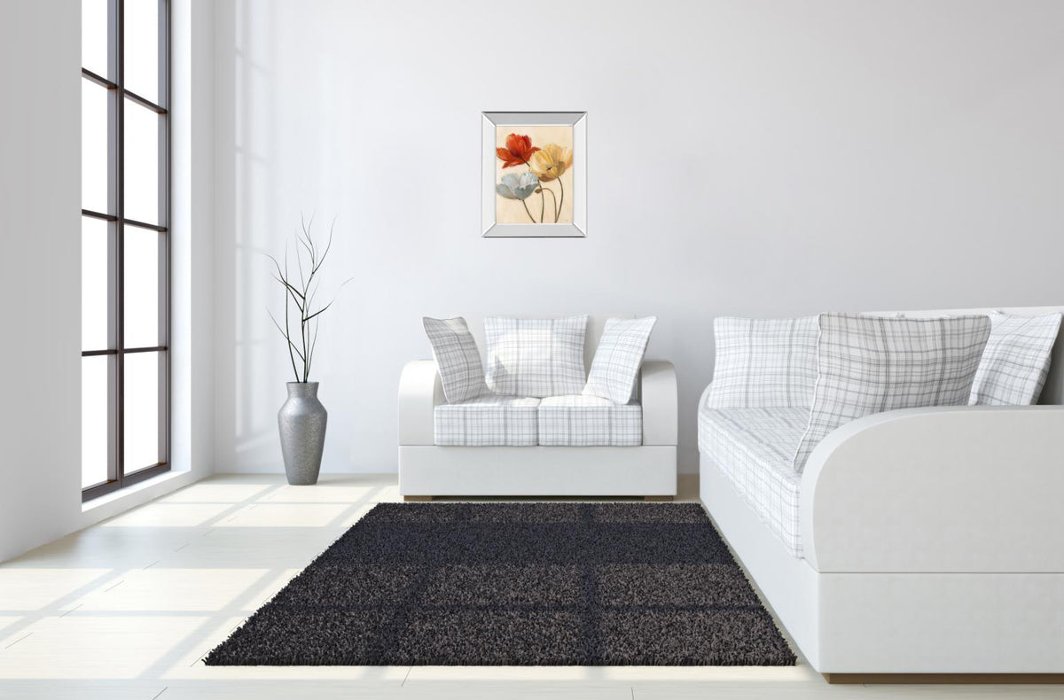 Mirrored Frame Poppy Palette Ii By Nan 22X26 Mirror Frame Print