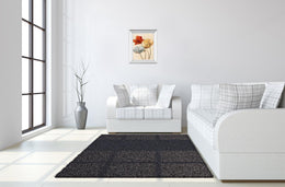 Mirrored Frame Poppy Palette Ii By Nan 22X26 Mirror Frame Print