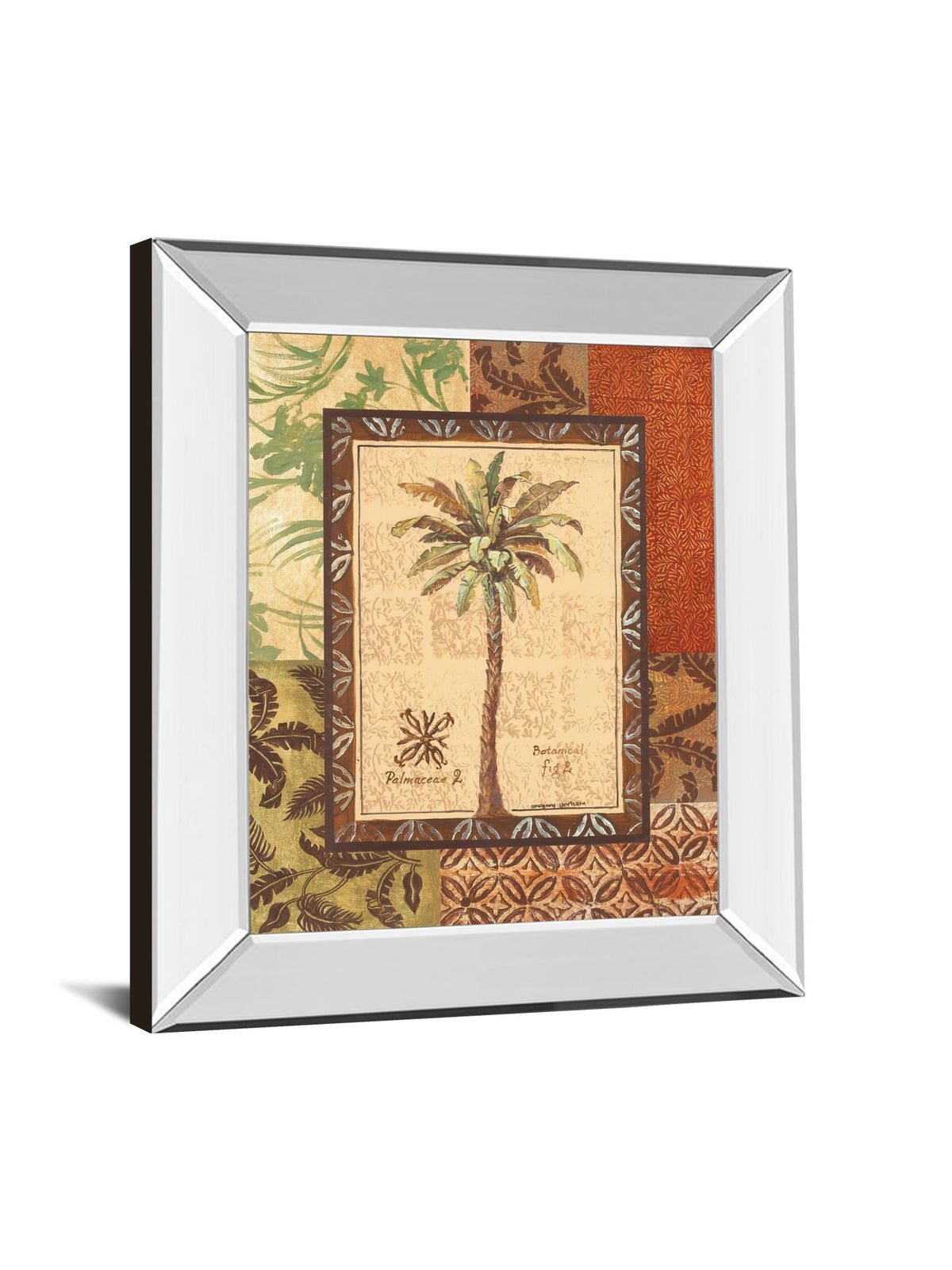 Mirrored Frame Palmaceae Ii By Gregory Gorham 22X26 Mirror Frame Print