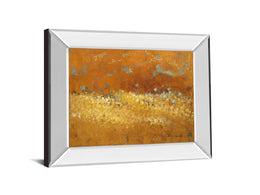 Mirrored Frame Flower Fields Ii By Lanie Loreth 22X26 Mirror Frame Print