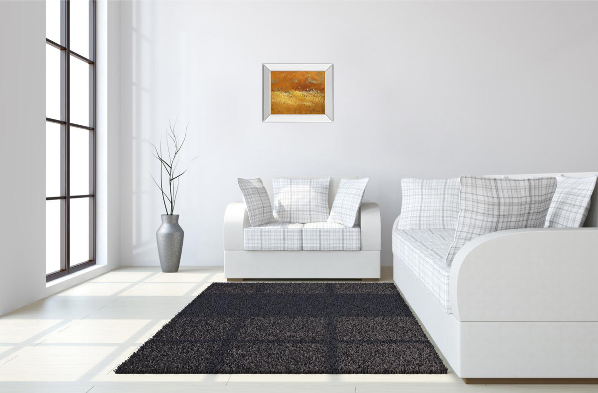 Mirrored Frame Flower Fields Ii By Lanie Loreth 22X26 Mirror Frame Print