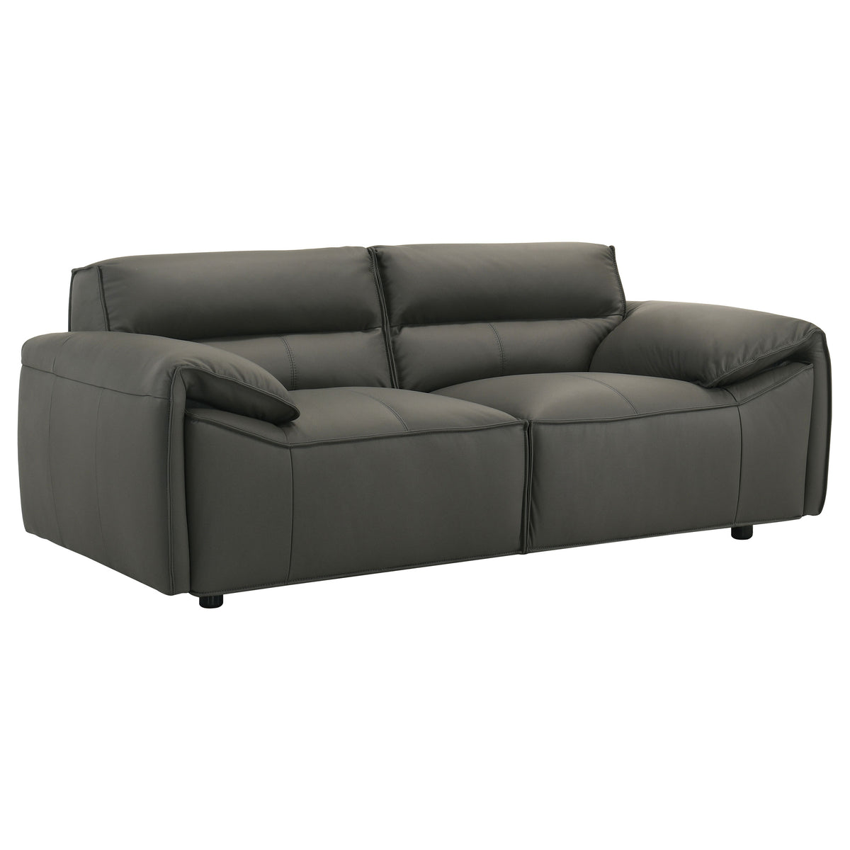 Buxton Top Grain Leather Upholstered Loveseat Graphite