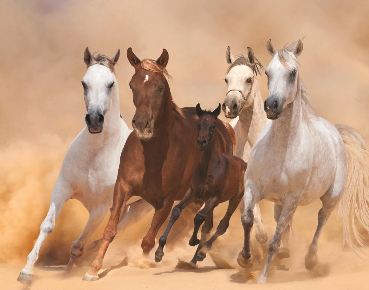 Four Horses Giclee Canvas