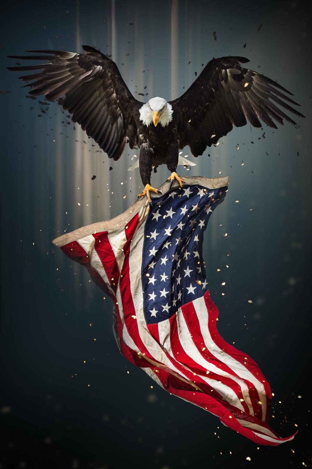 Eagle With Flag Giclee Canvas