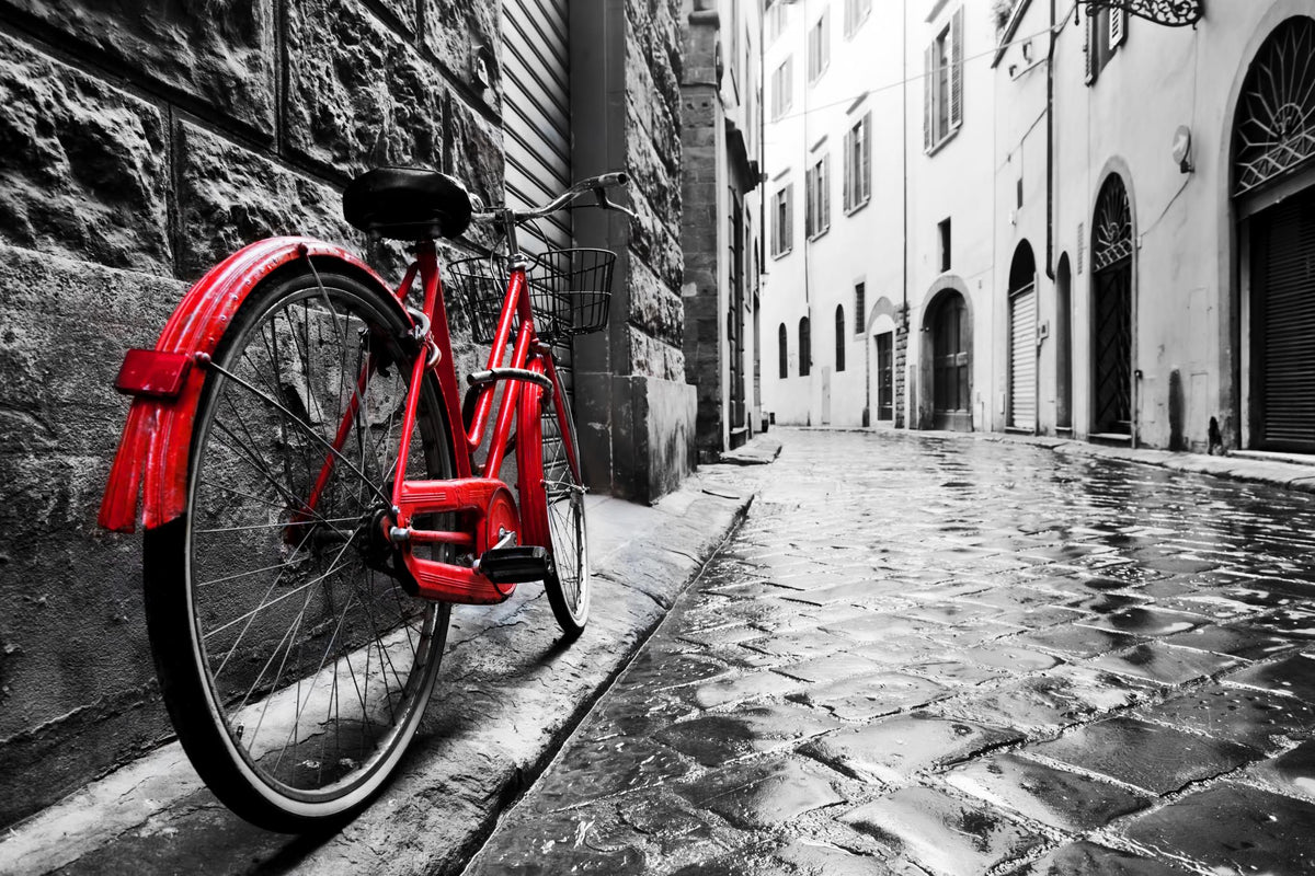 Red Bicycle Giclee Canvas