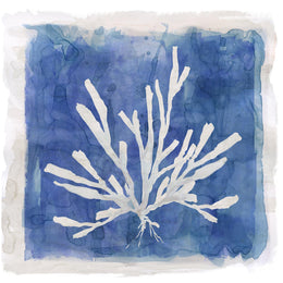 Coastal Washes Coral I By Carol Robinson Giclee Canvas