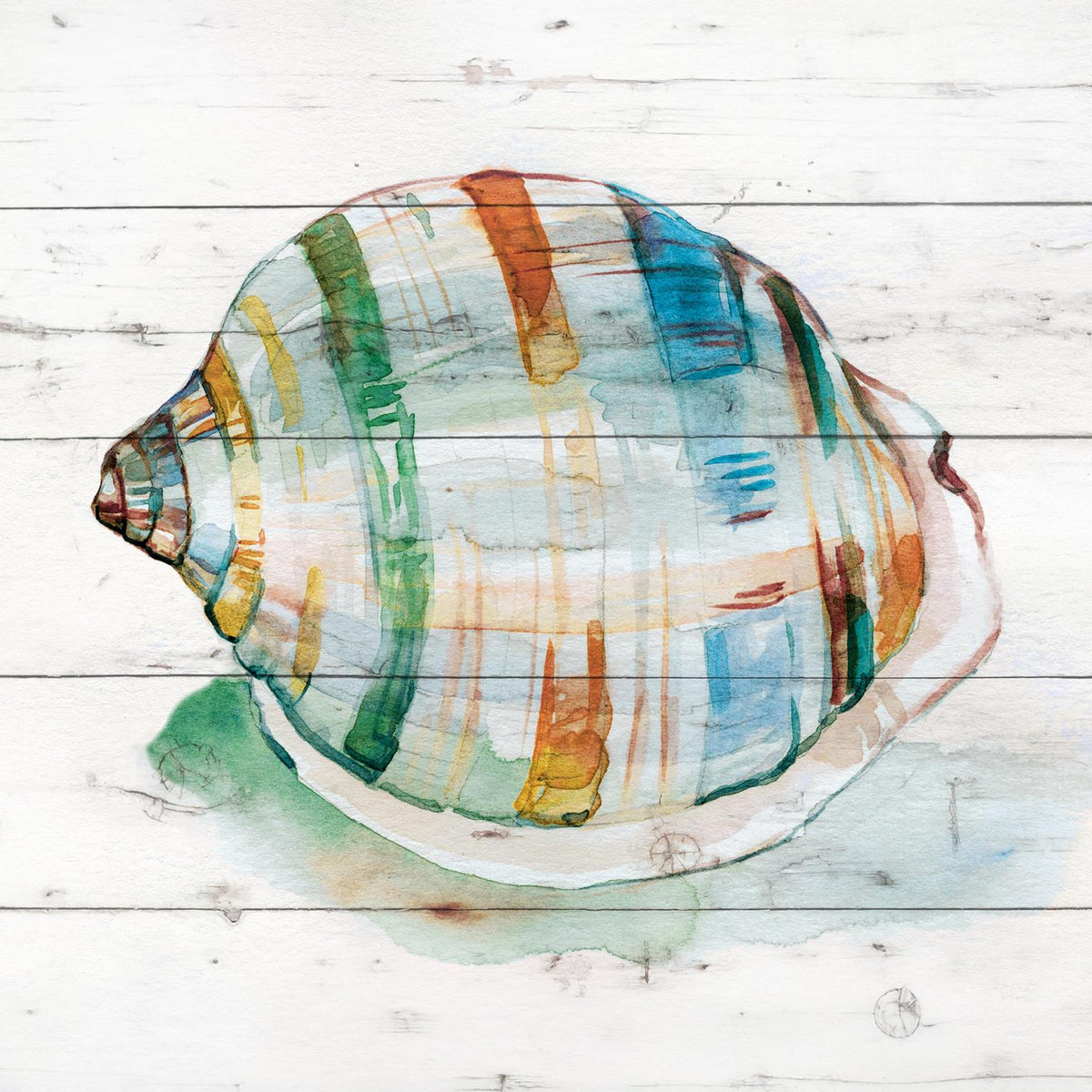 Tye Dyed Shell I By Carol Robinson Giclee Canvas