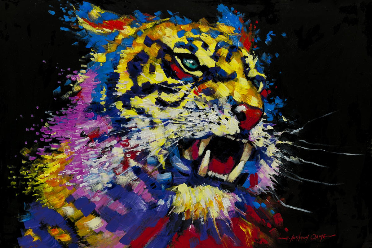 Tiger By E. Anthony Orme Giclee Canvas