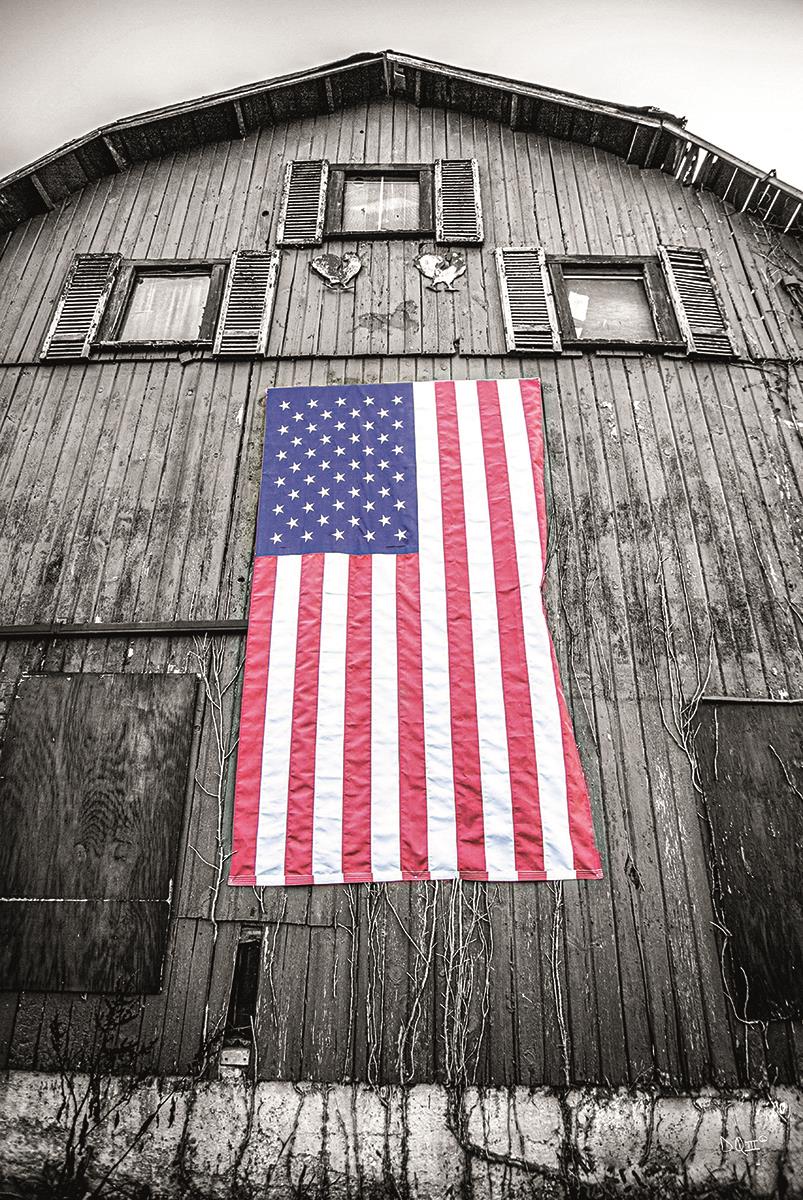 Red White & Blue By Donnie Quillen Giclee Canvas