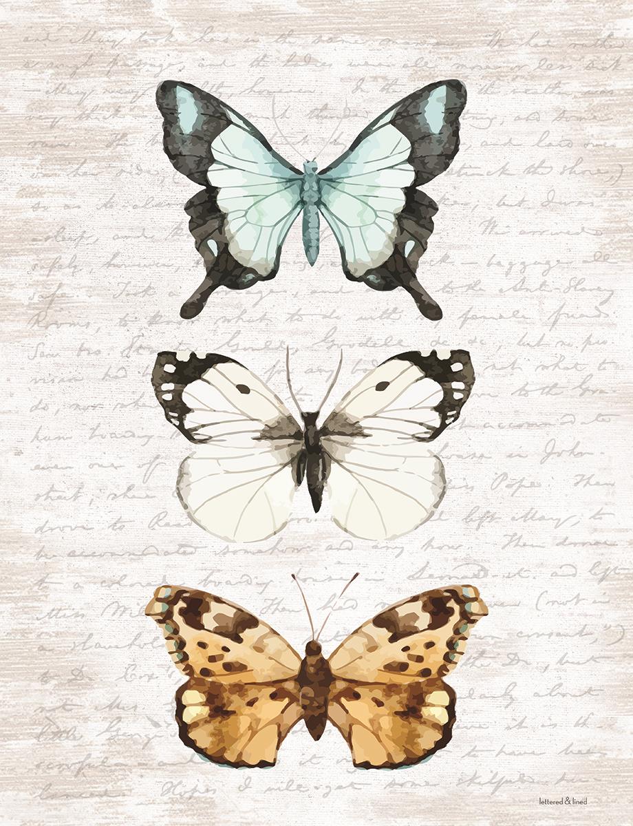 Butterfly Trio By Lettered & Lined Giclee Canvas