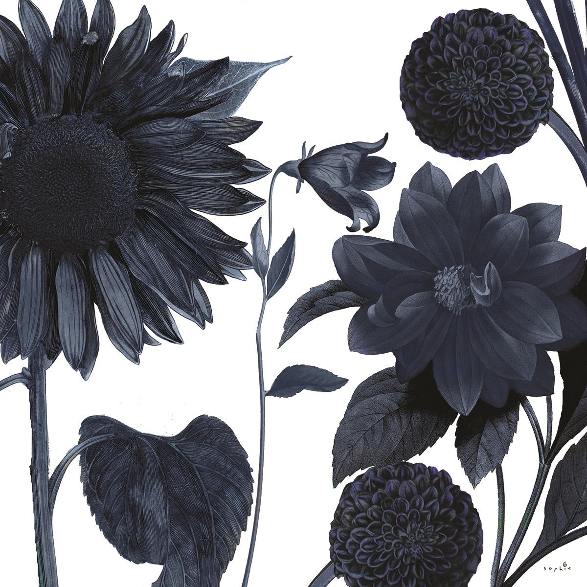 Blue Shift Ii By Sophie Six Giclee Canvas