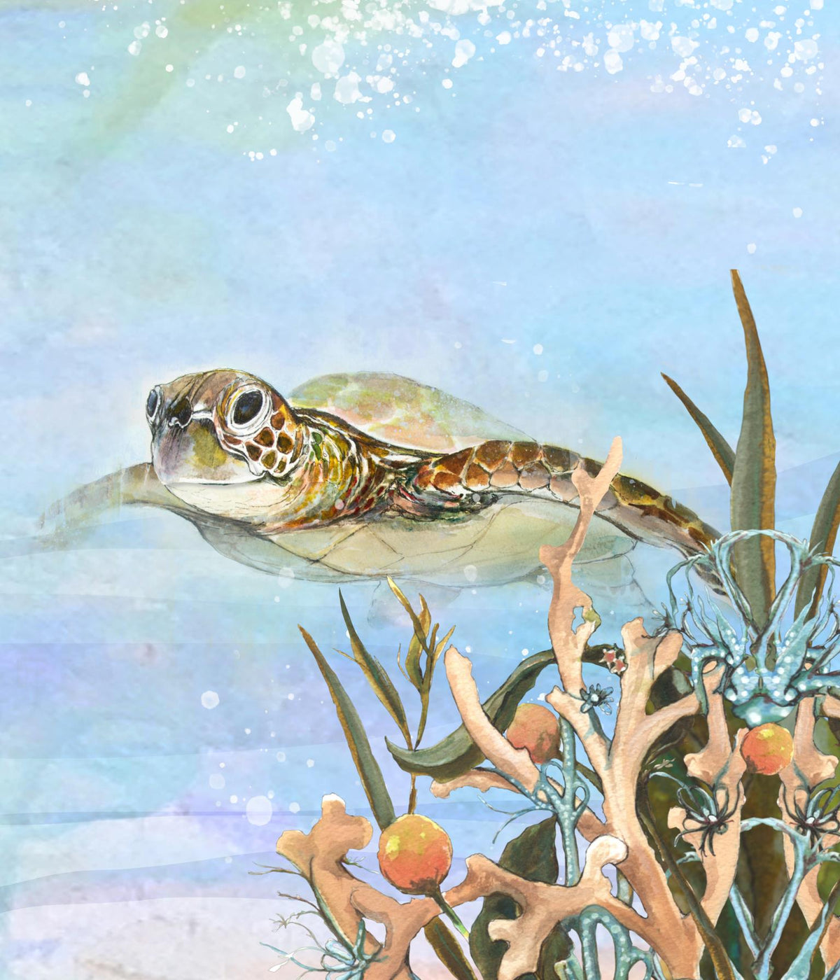 Turtle By The Reef Ii By  Diannart Giclee Canvas