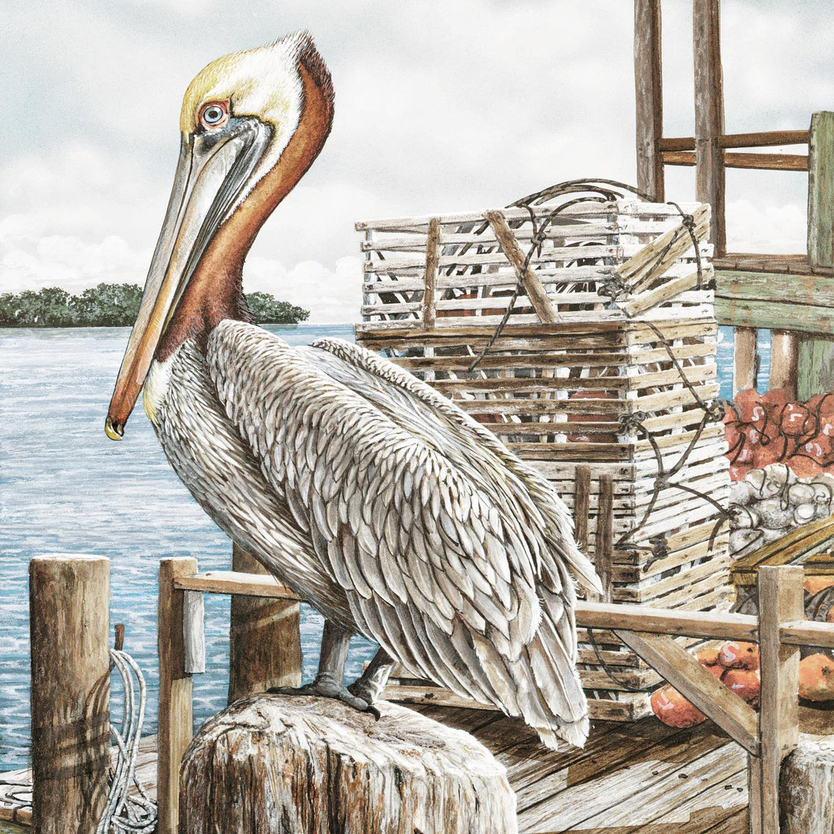Majestic Pelican By James Harris Giclee Canvas
