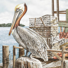 Majestic Pelican By James Harris Giclee Canvas