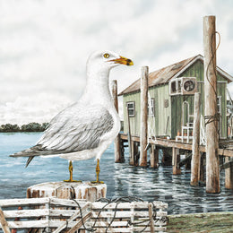 Majestic Seagull By James Harris Giclee Canvas