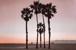 Santa Monica Pinks By Natalie Carpentieri Giclee Canvas