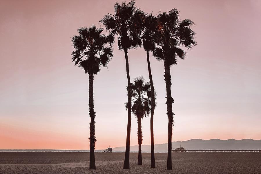 Santa Monica Pinks By Natalie Carpentieri Giclee Canvas