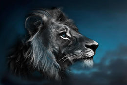 Portrait Of A Lion By Cad Design Giclee Canvas