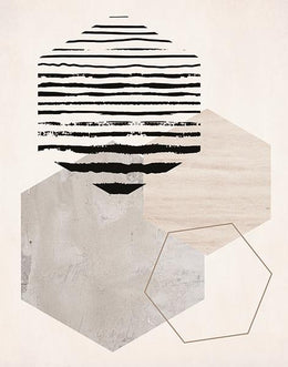 Hexagonal Display Ii By Daniela Santiago Giclee Canvas