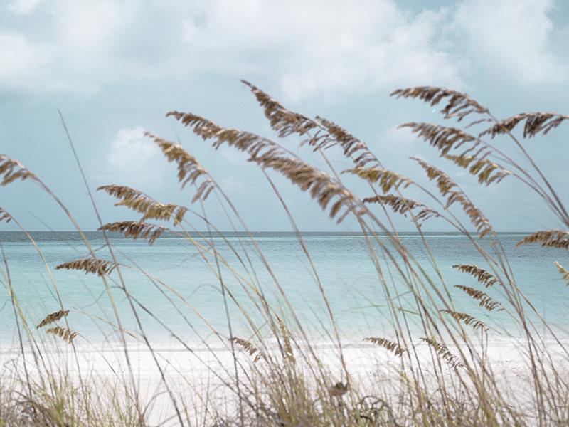 Solitude Beach By Danita Delimont Giclee Canvas