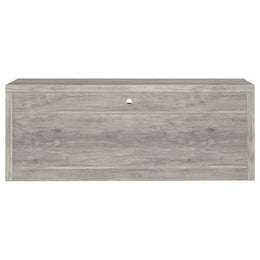 Burke 2-door Engineered Wood TV Stand Grey Driftwood