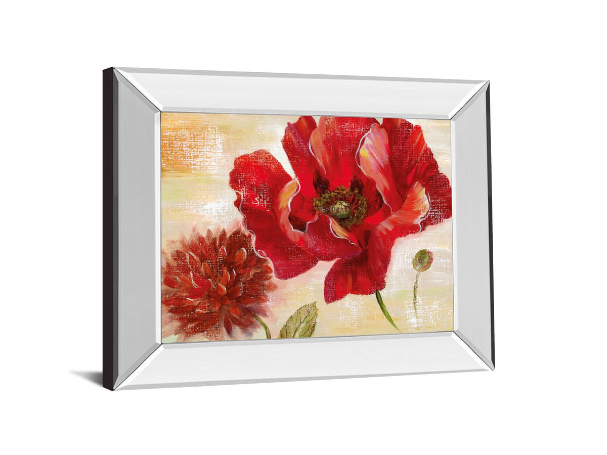 Mirrored Frame Passion For Poppies Ii By Nan 22X26 Mirror Frame Print