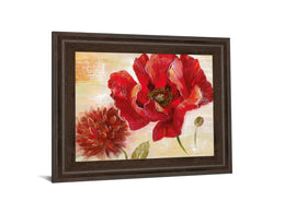 Passion For Poppies Ii By Nan 22X26 Framed Print