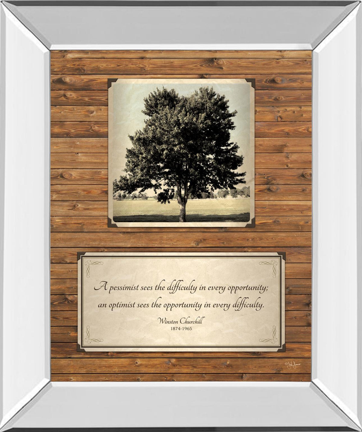 Mirrored Frame Opportunity By John Jones 22X26 Mirror Frame Print