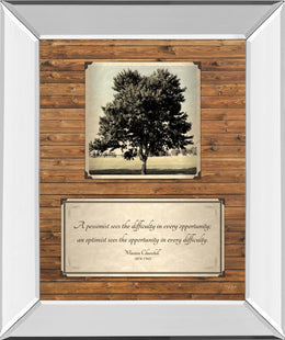 Mirrored Frame Opportunity By John Jones 22X26 Mirror Frame Print