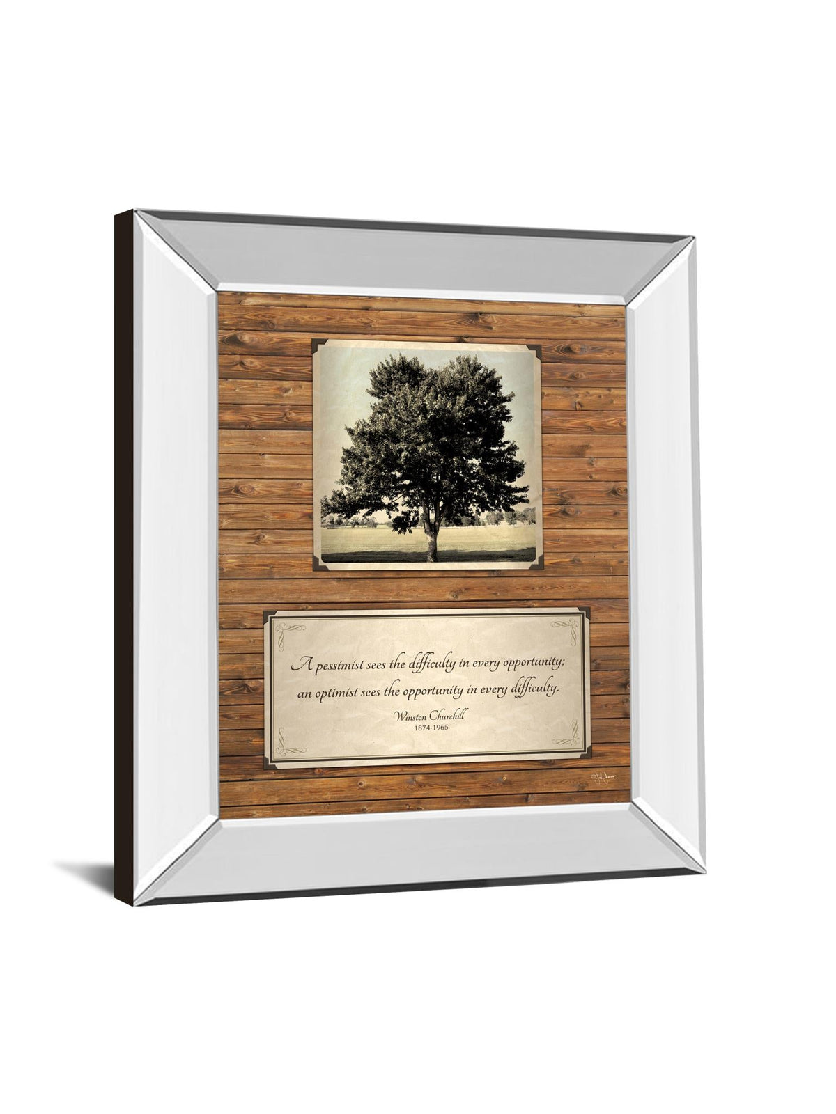 Mirrored Frame Opportunity By John Jones 22X26 Mirror Frame Print